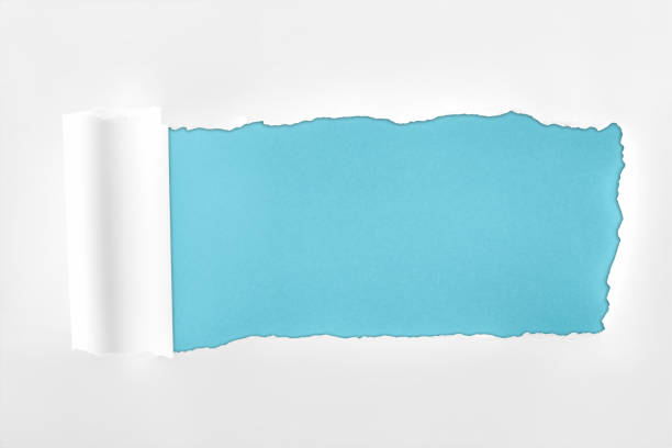 istock ripped textured white paper with rolled edge on blue background 1149836782