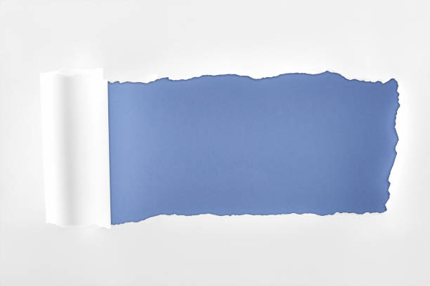 istock tattered textured white paper with rolled edge on blue background 1149836806