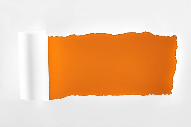 istock tattered textured white paper with rolled edge on orange background 1149836815