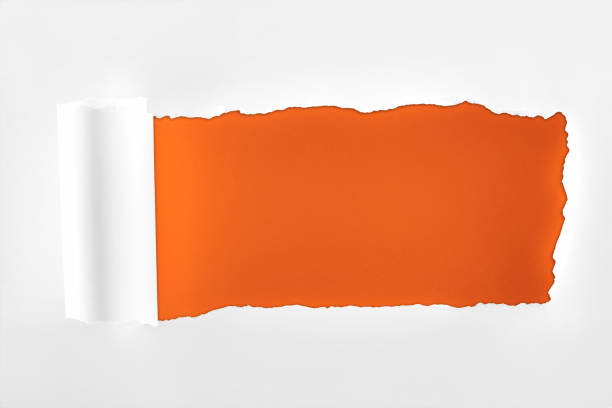 istock tattered textured white paper with rolled edge on deep orange background 1149836826