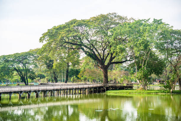 istock A view of a park in Yangon, Myanmar 1149838651