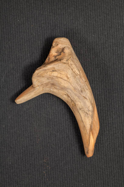 istock piece of wood 1149840059