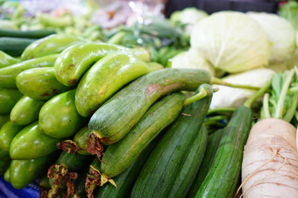 Organic Zucchini, Vegetables at Farmer Market