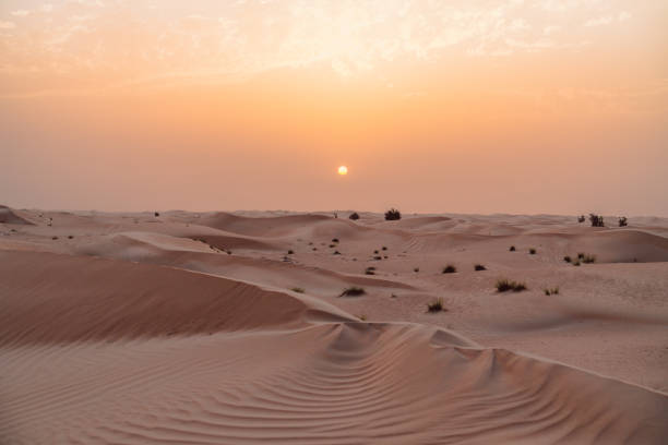 istock Sunset in the desert 1149852351
