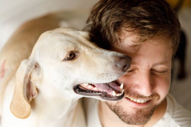 istock Dog showing love for it's owner 1149853892