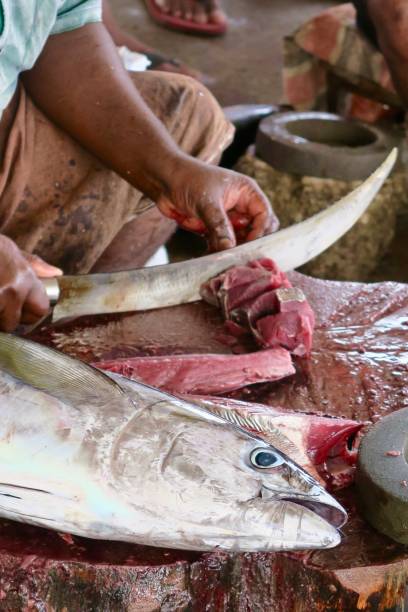 Photo showing fish being cutting up / chopped using a sharp knife on a wooden block as chopping board which is covered in blood by Indian hindu man, fishmonger. The man is filleting the fish removing the bone / bones, scales, head, fins, skinning. The fish has been diced so it can be use as raw food in salad or to make cutlets. imagen del hombre indio hindú cortando/cortando peces en un bloque de madera como un tablero de cortar usando cuchillo afilado, fileting, cortar, despellemar, quitar escamas en el mercado de pescado de mariscos en kollam, kerala, el chef está deboning, e