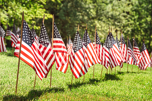 series of flags for the memorial day