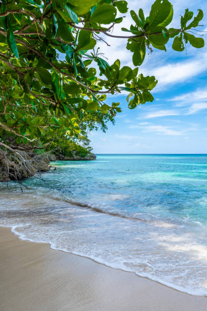 interminable agua azul turquesa del océano en un soleado día de verano en la isla caribeña tropical. - montana water landscape nature fotografías e imágenes de stock