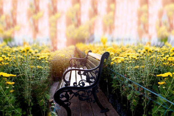vintage chair in garden.