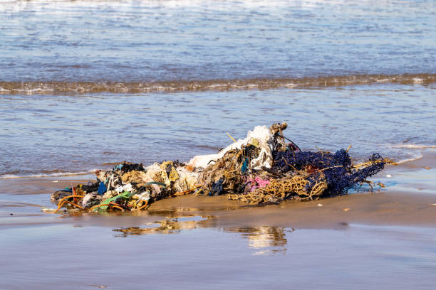 clothes and rubbish washed up onto sand beach by the atlantic ocean, agadir, morocco - toxic substance spilling pouring bottle imagens e fotografias de stock