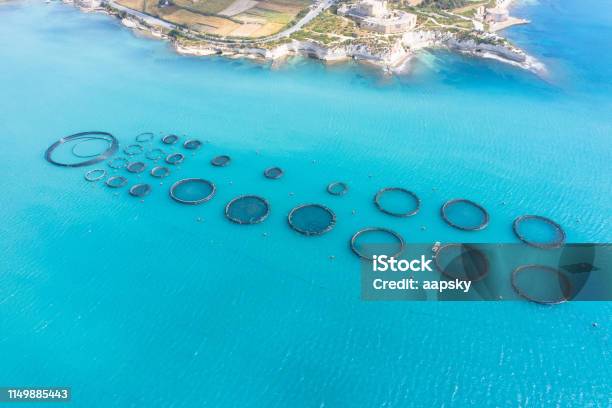 Aerial View Fish Farm With Floating Cages In The Mediterranean Sea - Fotografias de stock e mais imagens de Quinta
