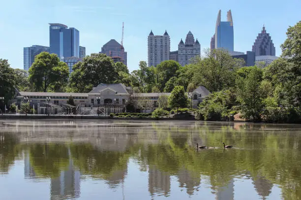 Photo of Group of swans in a lake in Atlanta in Piedmont park and skyline in the background