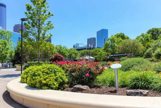 Photo of Foreground colorful flowers in the park in Atlanta and background buildings and skyscrapers under a blue sky