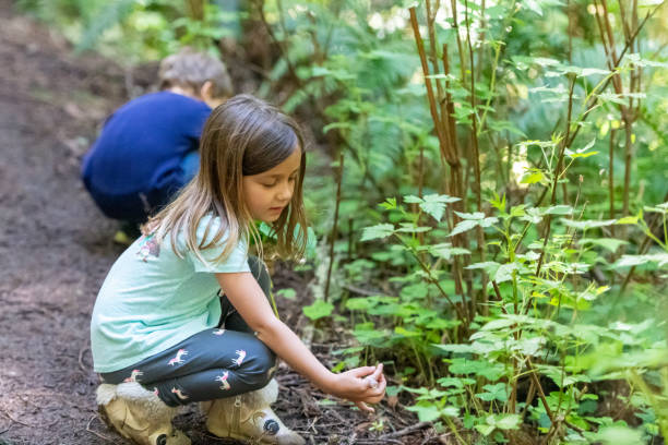 istock children child picking clovers in the woods 1149896125