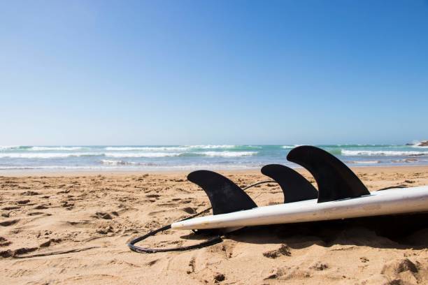 istock Surfboard lying on the sand by the sea 1149897788