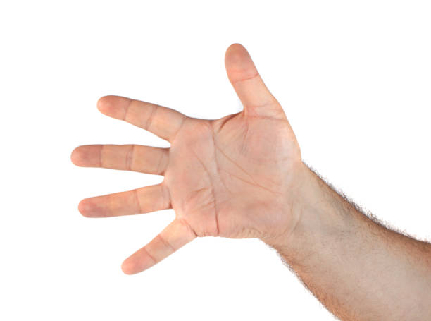 istock image of hand showing five fingers on white background 1149900237