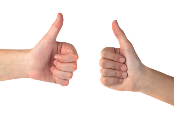 istock hand rendered Symbols Excellent isolated on white background. Hand thumbs up 1149900248