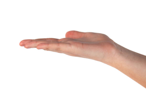 istock Beautiful woman's hand, palm up. Isolated on white background 1149900253