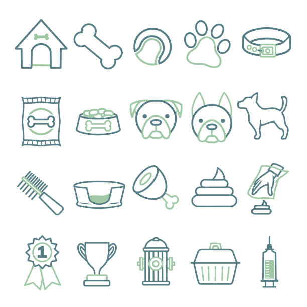 Vector icons set for creating infographics related to dogs, like collar, food, bowl, toy, comb or bed icon set pet toy stock illustrations