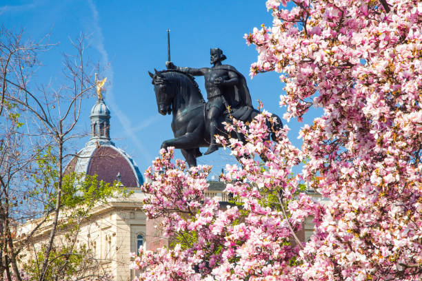 statua del re tomislav a zagabria, croazia, in primavera - spring magnolia flower sky foto e immagini stock