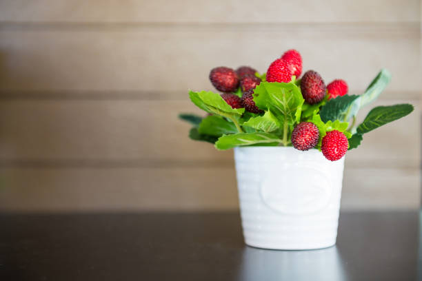 Berries used to decorate on a table, sensitive focus.