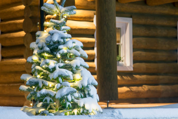 istock Evening lighted wooden house detail 1149906465