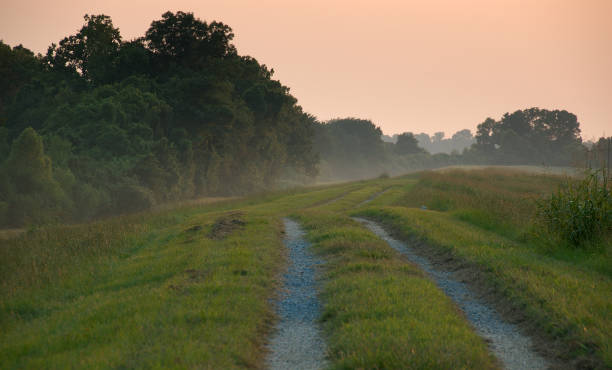 istock Mississippi River levee near Baton Rouge 1149907520