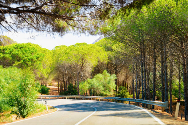 istock Empty road without cars and green forest in Sardinia 1149907794