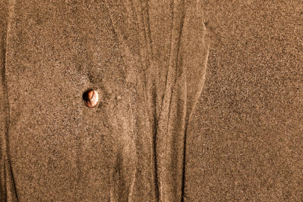 istock Art created by nature, artsy tideway in the sand on the beach 1149907809