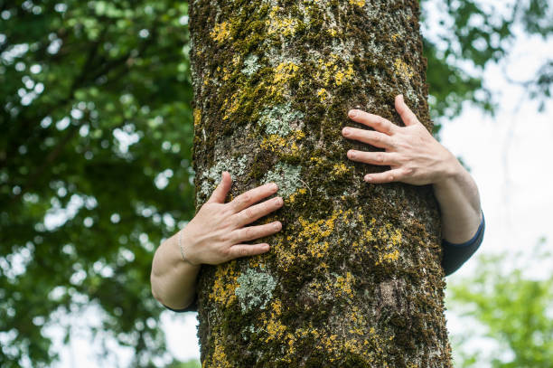 istock woman hugging a tree in a forest 1149909427