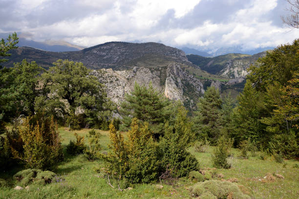 istock Magnificent Pyrenees (close to Veracruz), Spain, Europe 1149909667