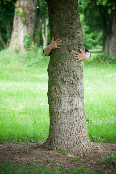 istock woman hugging a tree in a forest 1149909776