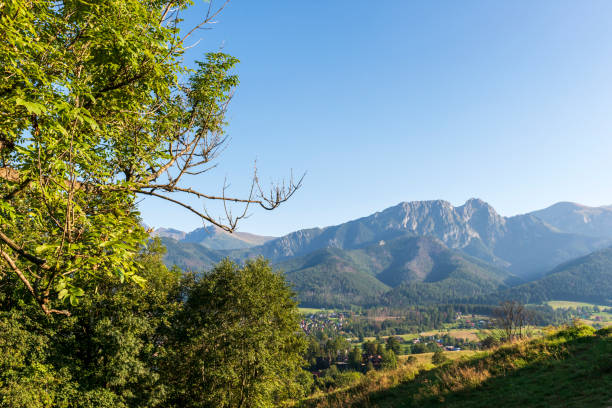 istock Zakopane, Poland landscape 1149909922