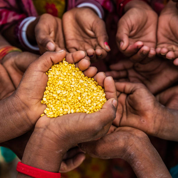 istock Hunger in Africa - hands asking for food 1149910981