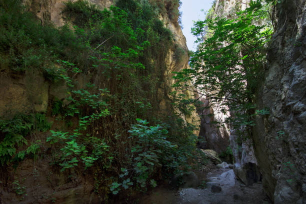 istock Avakas Gorge in Cyprus 1149912434