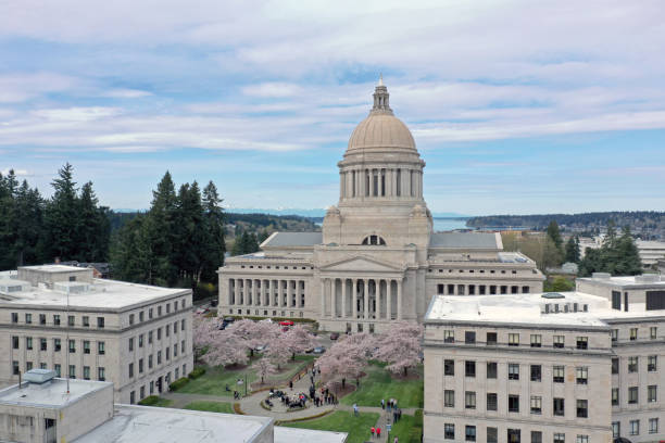 オリンピアのワシントン州の首都の建物で春の桜の上に空中の視点 - washington state capitol building ストックフォトと画像