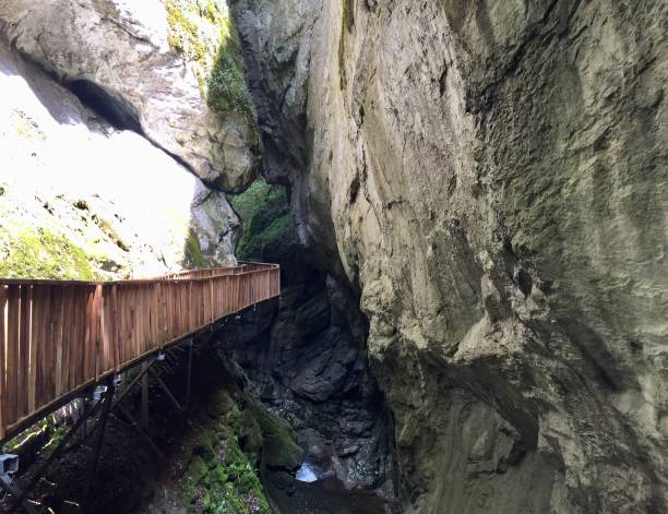 istock horma canyon nature river mountain green kastamonu may 2019 1149918881