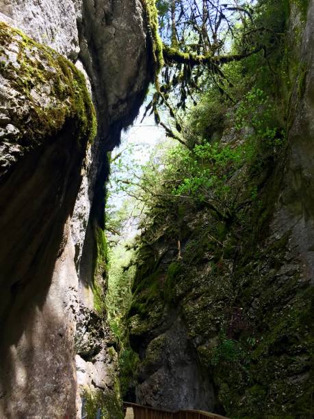 istock horma canyon nature river mountain green kastamonu may 2019 1149919083