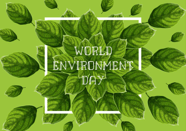 istock World Environment Day banner with green textured leaves, white frame and text on green background. 1149922968