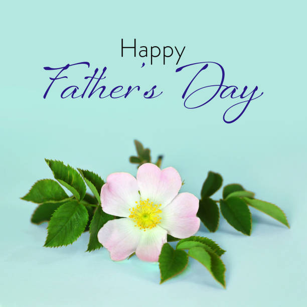 istock Fathers Day card with flower on blue background 1149923519