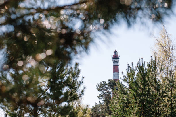 красно-белый маяк на фоне голубого неба и ветвей - amrum summer spring island стоковые фото и изображения