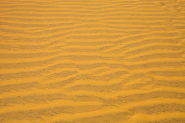 sand dune slope in the desert. View on the top from the foot of the sand dune. Sand texture. Nature landscape full frame photography. Heat in the desert. Bright sunny hot day in the desert. Backgrounds.