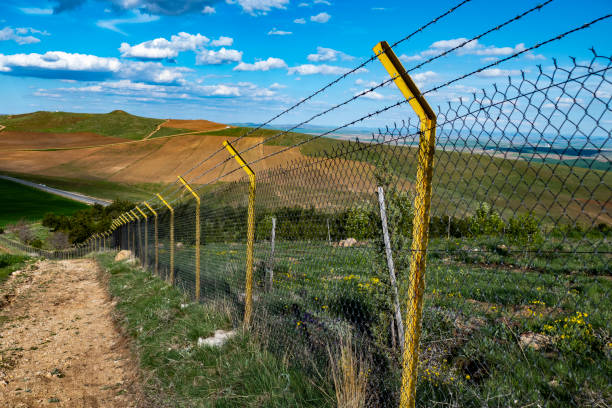 fence of a garden with barbed wires,