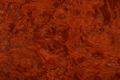A beautiful wood grain effect with natural burl.  Use carpathian elm burl veneer as background tileable backdrop pattern map or color chip sample.