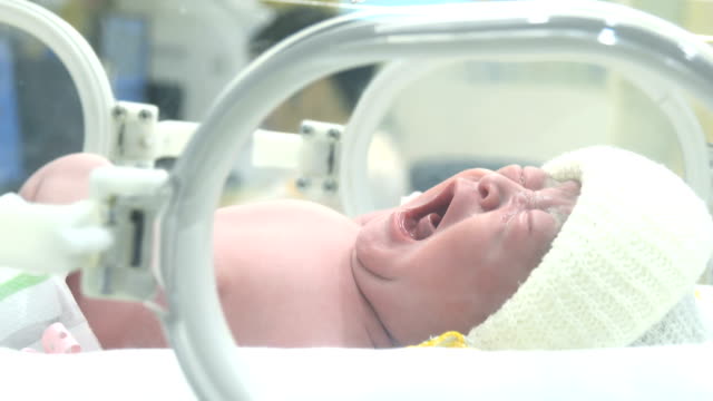 Close up of Newborn Baby inside Incubator, portrait of young asian newborn baby boy crying inside medical intensive care units incubator at hospital