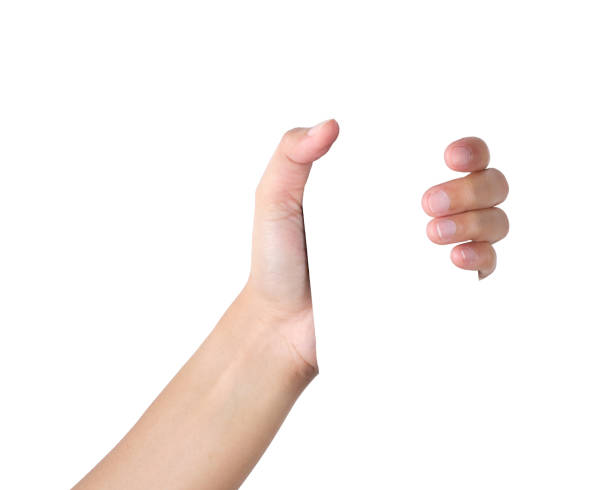 Hand gesture Hands holding something isolated with clipping path. reaching stock pictures, royalty-free photos & images