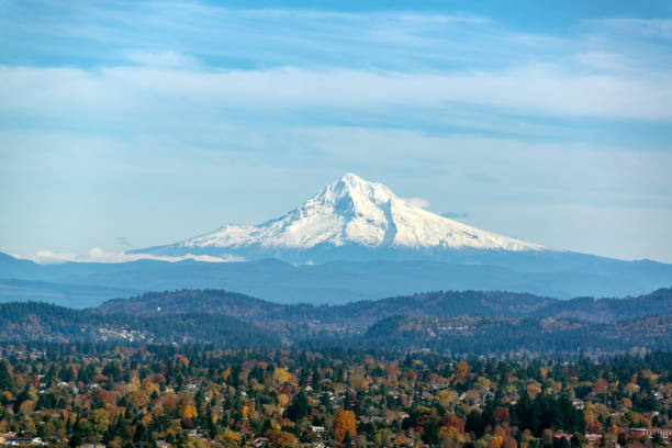 Mt. Hood and Forested Hills View of Mt. Hood and forest covered hills as seen from Portland, Oregon mt hood photos stock pictures, royalty-free photos & images