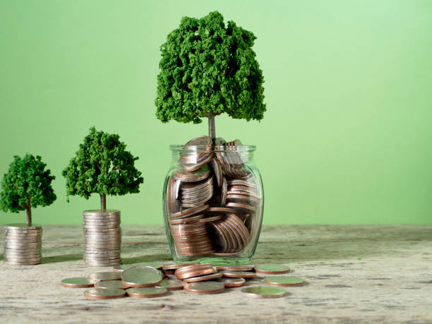 istock Trees growing on coins money on green background 1149957690