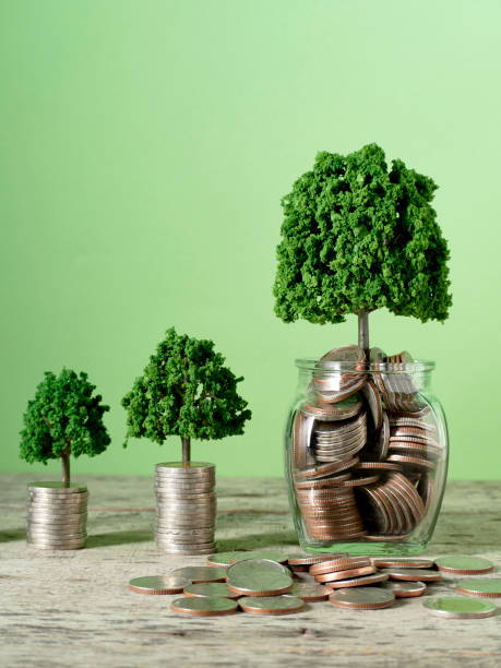 istock Trees growing on coins money on green background 1149957765