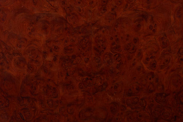istock Red Eye Wood Burl 1149957799
